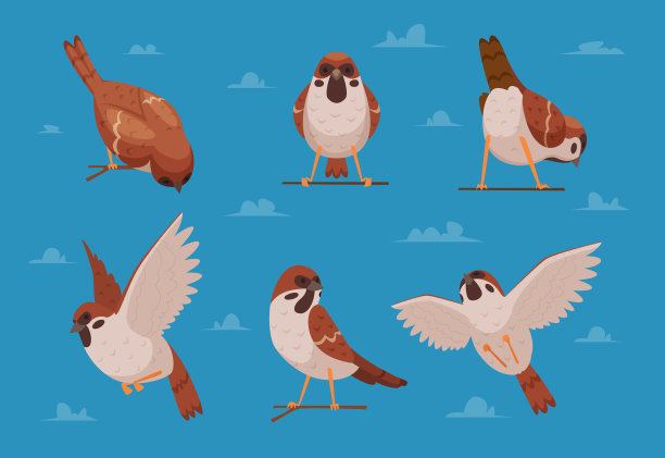 sparrow