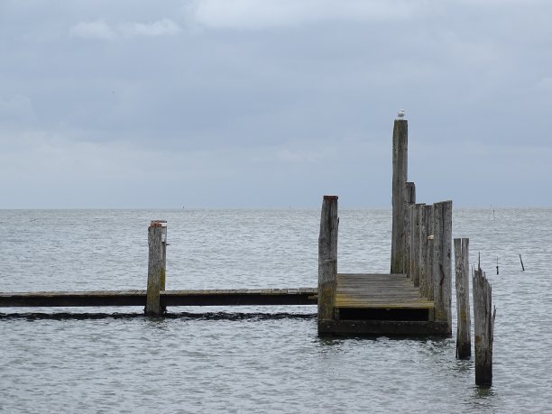 _texel