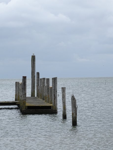 _texel