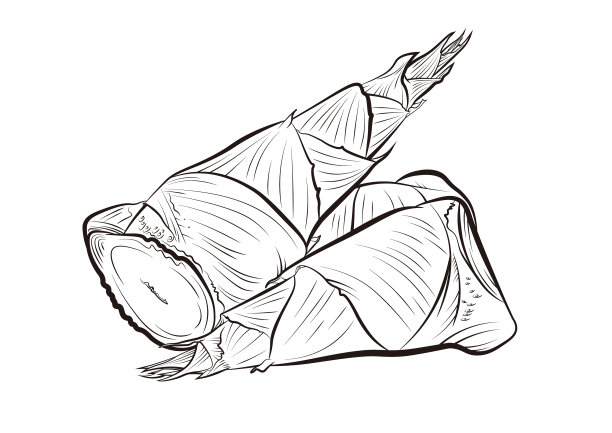 笋