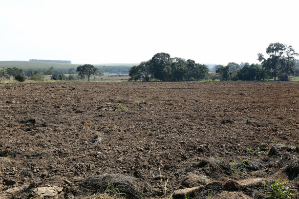 ground