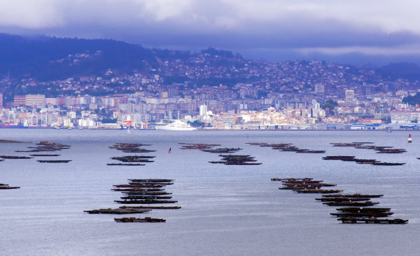 vigo