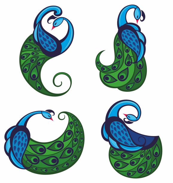peacock