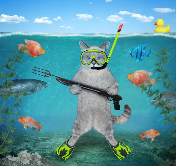 猫咪潜水员
