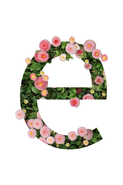 字母花卉组合