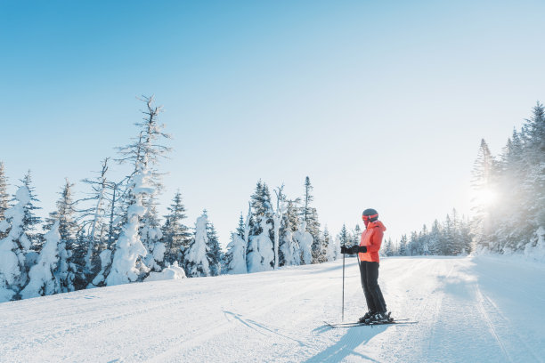 ski