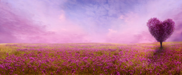 blossoms