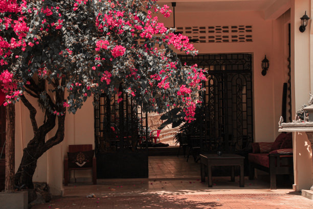 kampot