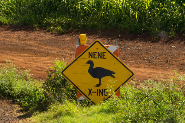 kauai