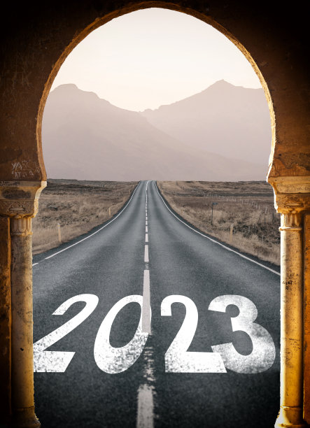 2022新年拱门