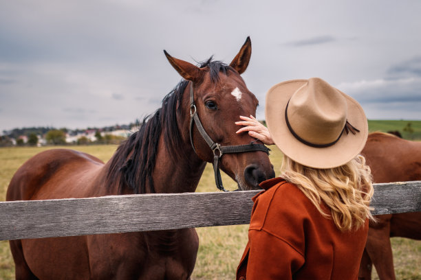 cowboy