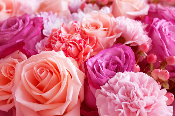 粉色情侣玫瑰鲜花浪漫情人节海报