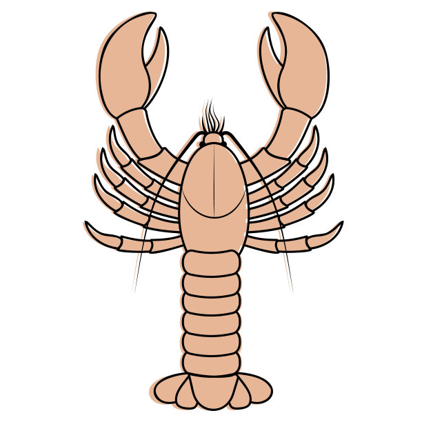 小龙虾形象设计