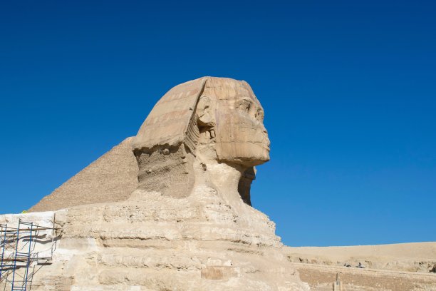 sphinx