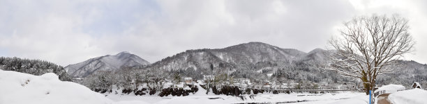 雪花大米