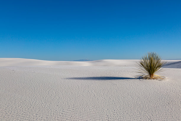 dune