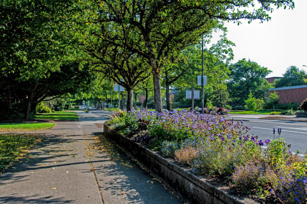 horticulture