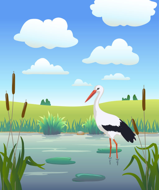 wetland