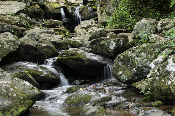 shenandoah