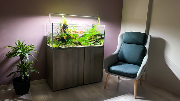 aquarium