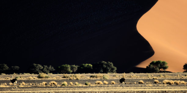 namibia