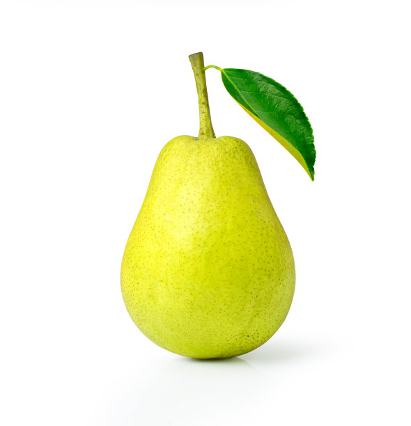 pyrus