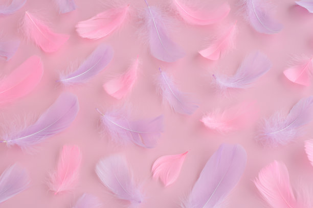 plumage