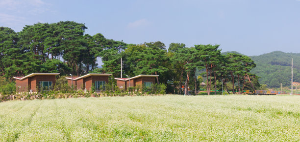 korea
