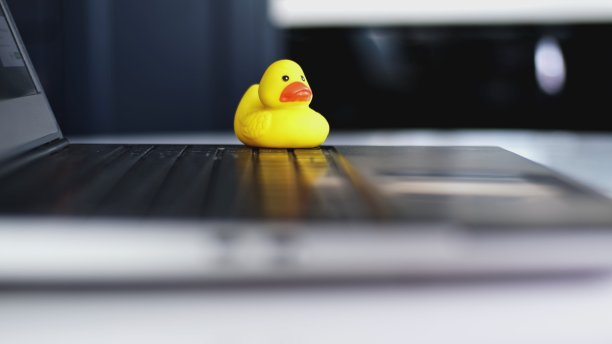 电脑 鸭子
