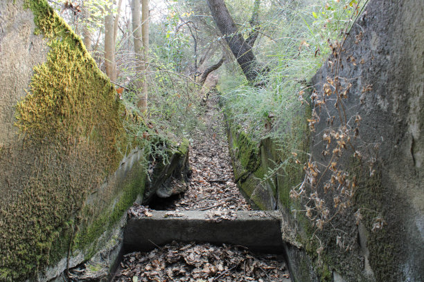 ditch