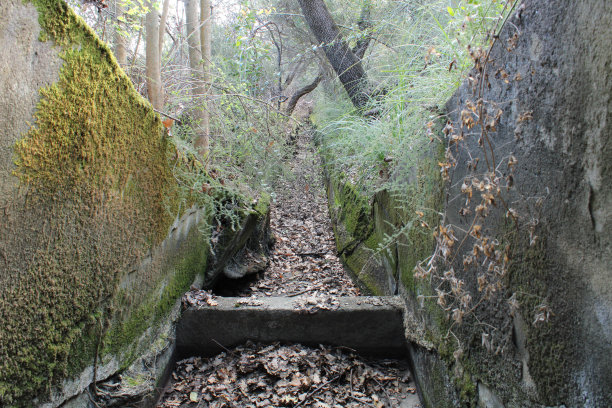 ditch