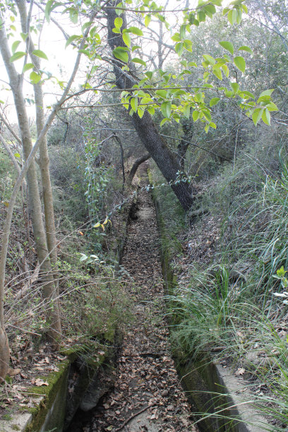 ditch