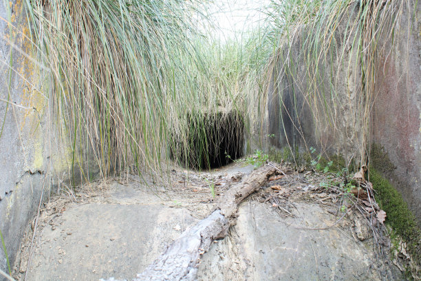 ditch
