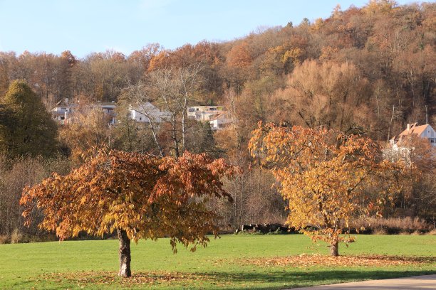 rhön