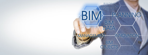 bim