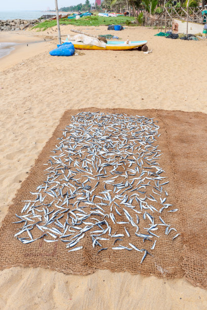 negombo