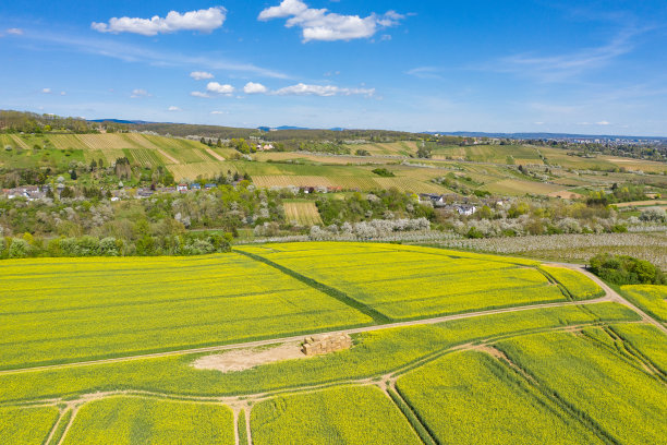 无人机研学实践