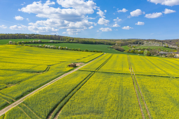 无人机研学实践