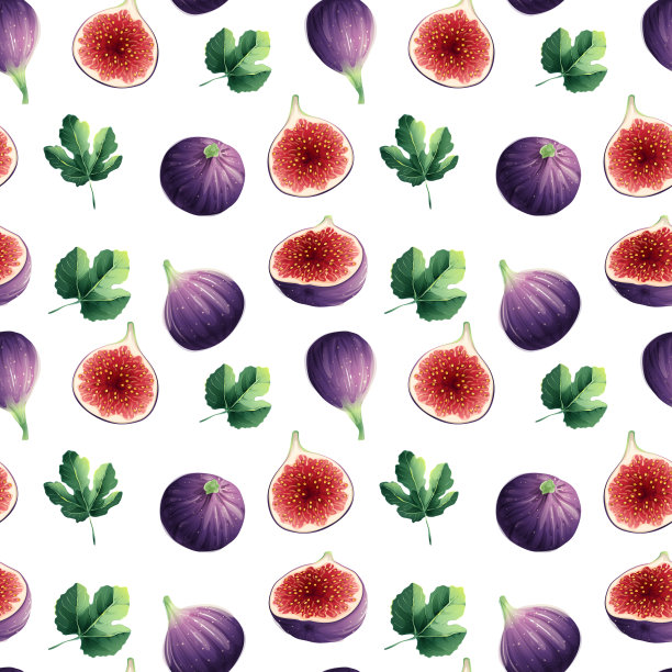 无花果插画包装