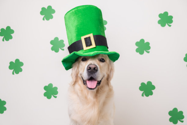 shamrock