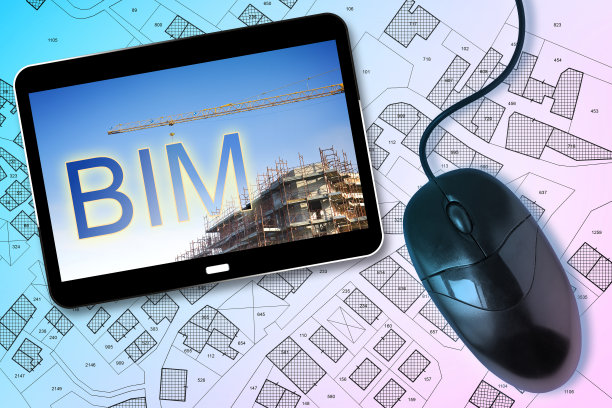 bim