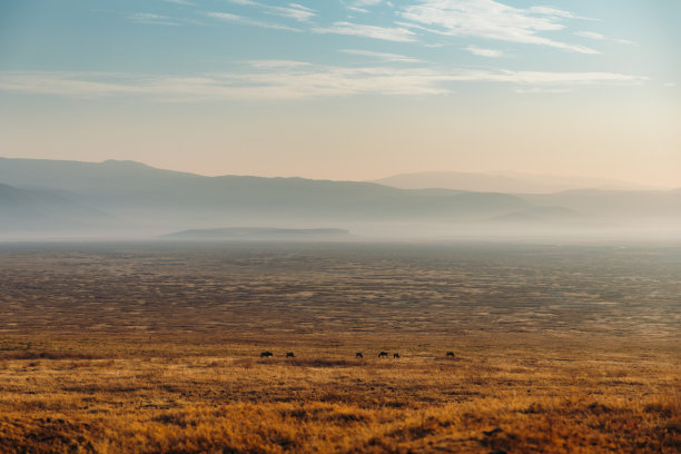 ngorongoro