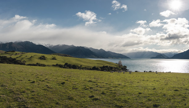 hawea
