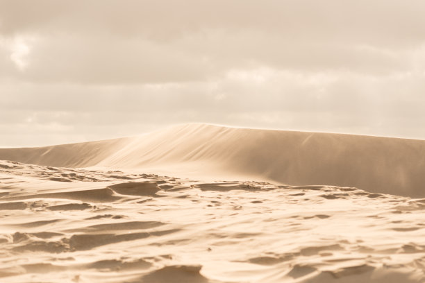dune