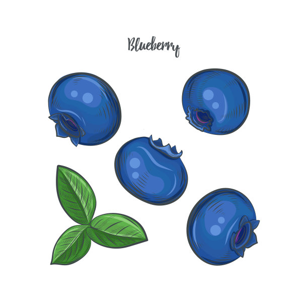 ericaceae