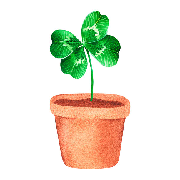 shamrock