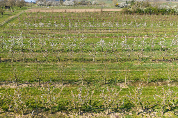 无人机研学实践