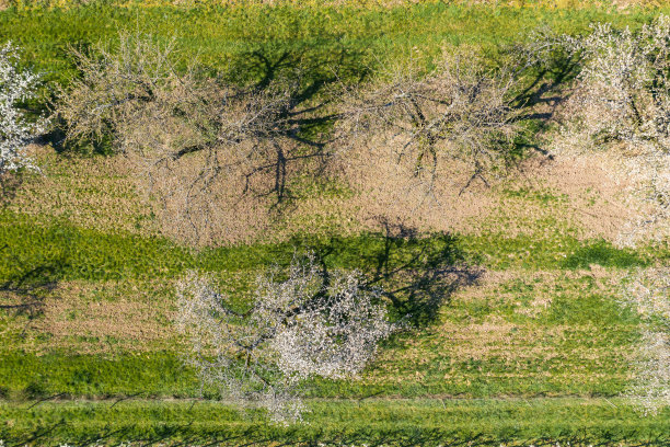 无人机研学实践