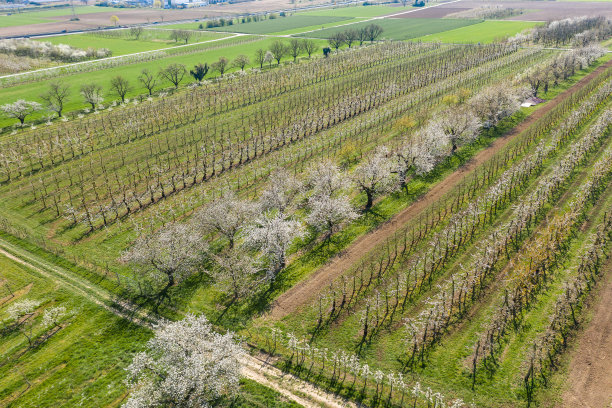 无人机研学实践