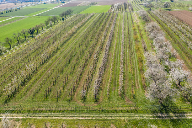 无人机研学实践